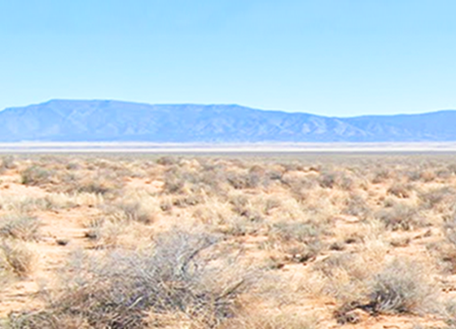 Los Lunas, New Mexico 87031, ,Land,Sold,1994