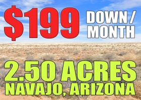 Arizona 86025, ,Land,Sold,1995