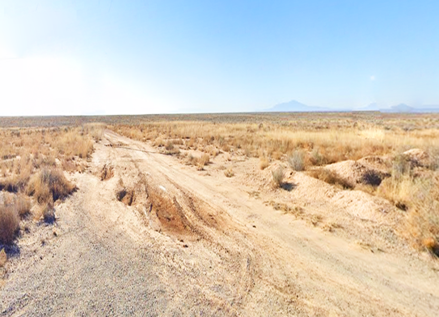 Los Lunas, New Mexico 87031, ,Land,Sold,1996