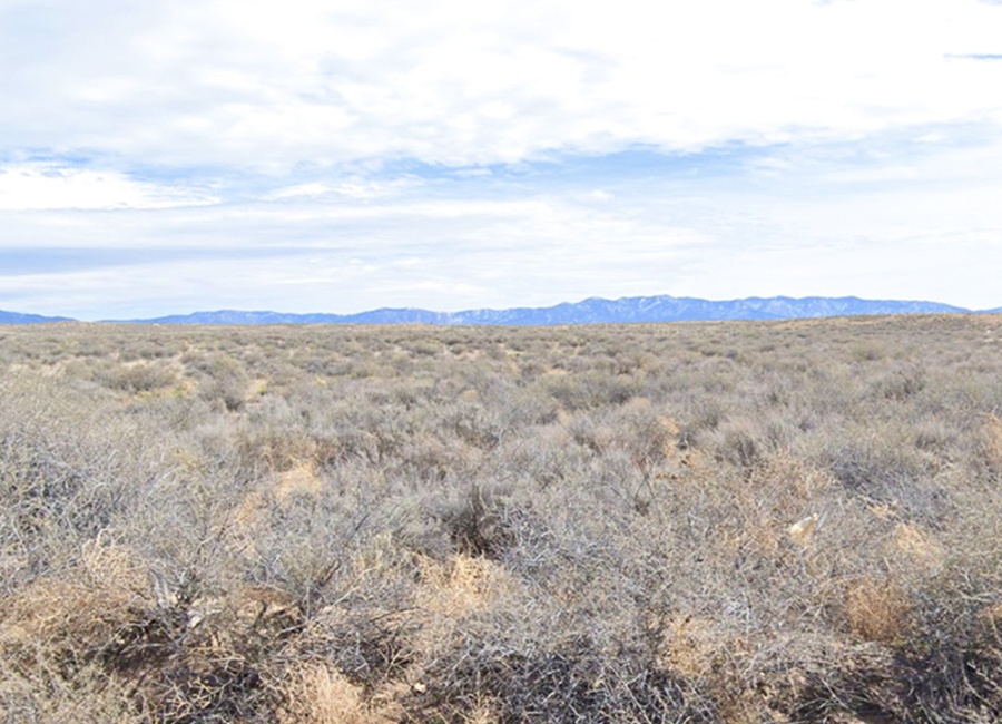 Los Lunas, New Mexico 87031, ,Land,Sold,2001