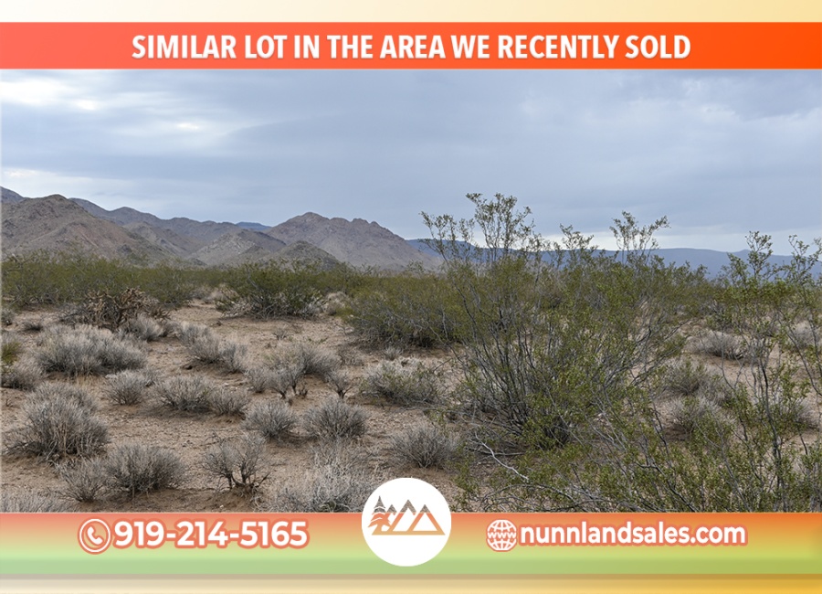 Willow Beach, Arizona 86445, ,Land,Sold,2004