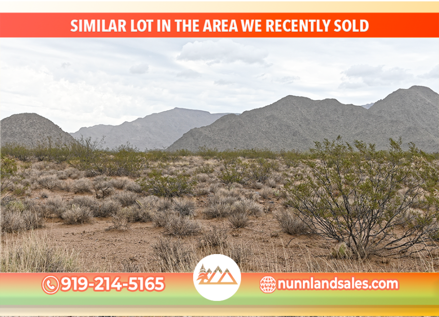 Willow Beach, Arizona 86445, ,Land,Sold,2004