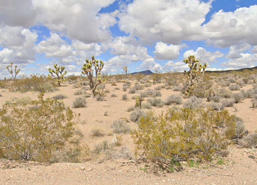 Willow Beach, Arizona 86445, ,Land,Sold,2004