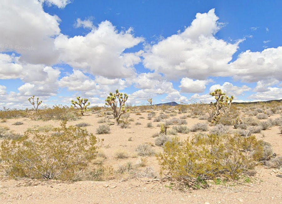 Willow Beach, Arizona 86445, ,Land,Sold,2004