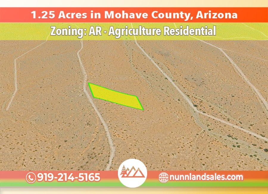 Willow Beach, Arizona 86445, ,Land,Sold,2004