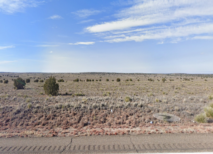 Arabella, New Mexico 88434, ,Land,For Sale,2006