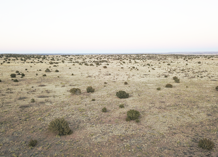 Arabella, New Mexico 88434, ,Land,For Sale,2006