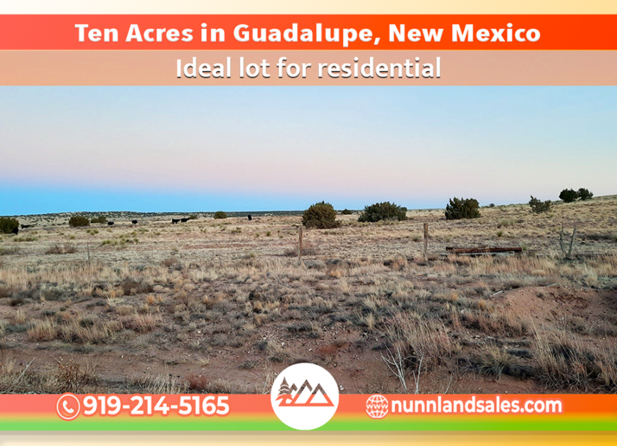 Arabella, New Mexico 88434, ,Land,For Sale,2006