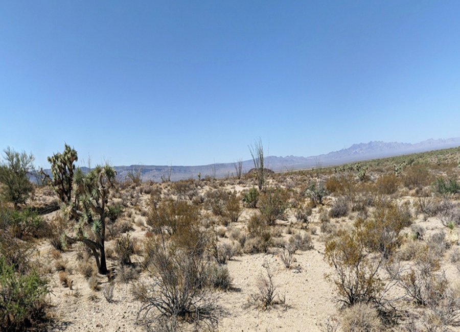 Yucca, Arizona 86438, ,Land,Sold,2012