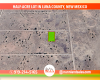 Deming, New Mexico 88030, ,Land,Sold,2021