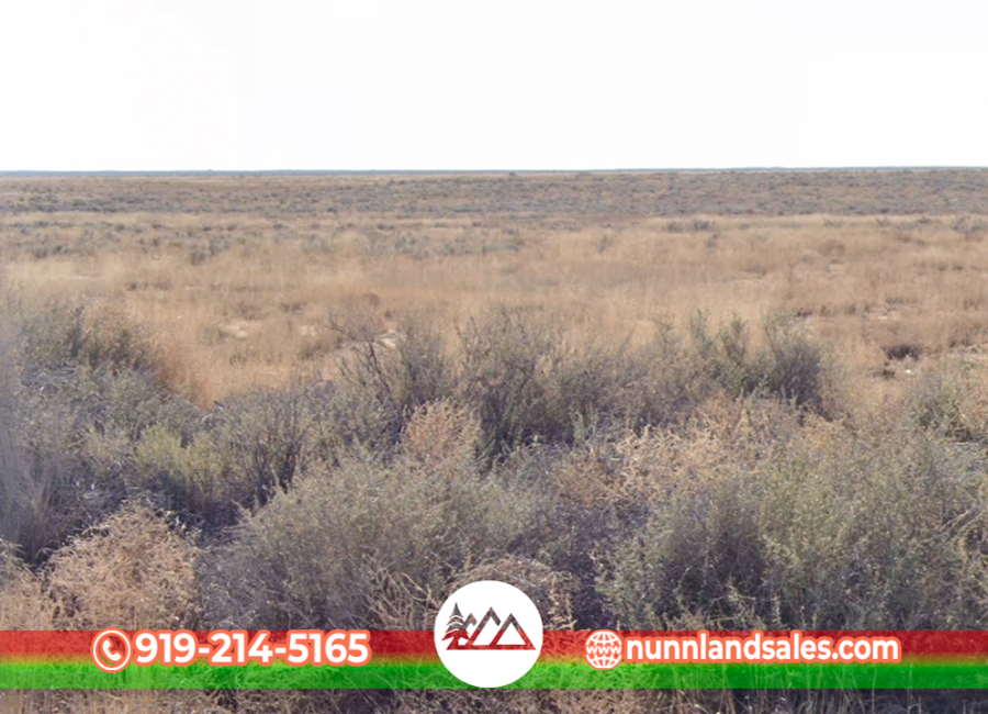 Los Lunas, New Mexico 87031, ,Land,Sold,2022