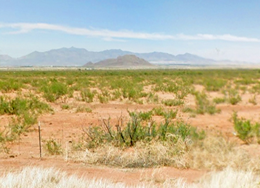 Pearce, Arizona 85625, ,Land,Sold,2024