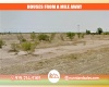 Douglas, Arizona 85607, ,Land,Sold,2025