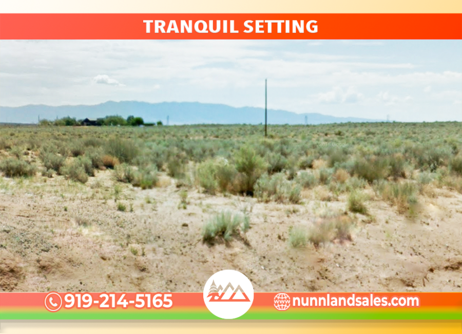 Los Lunas, New Mexico 87031, ,Land,Sold,2037