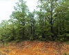 Horseshoe Bend, Arkansas 72512, ,Land,For Sale,2038