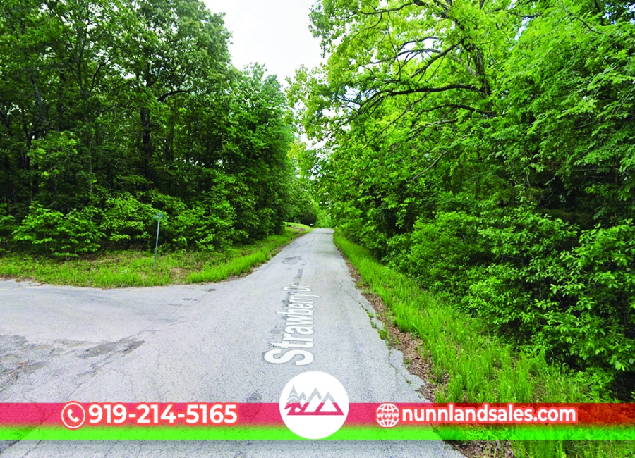 Horseshoe Bend, Arkansas 72512, ,Land,For Sale,2039