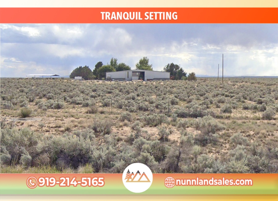 Belen, New Mexico 87002, ,Land,For Sale,2040