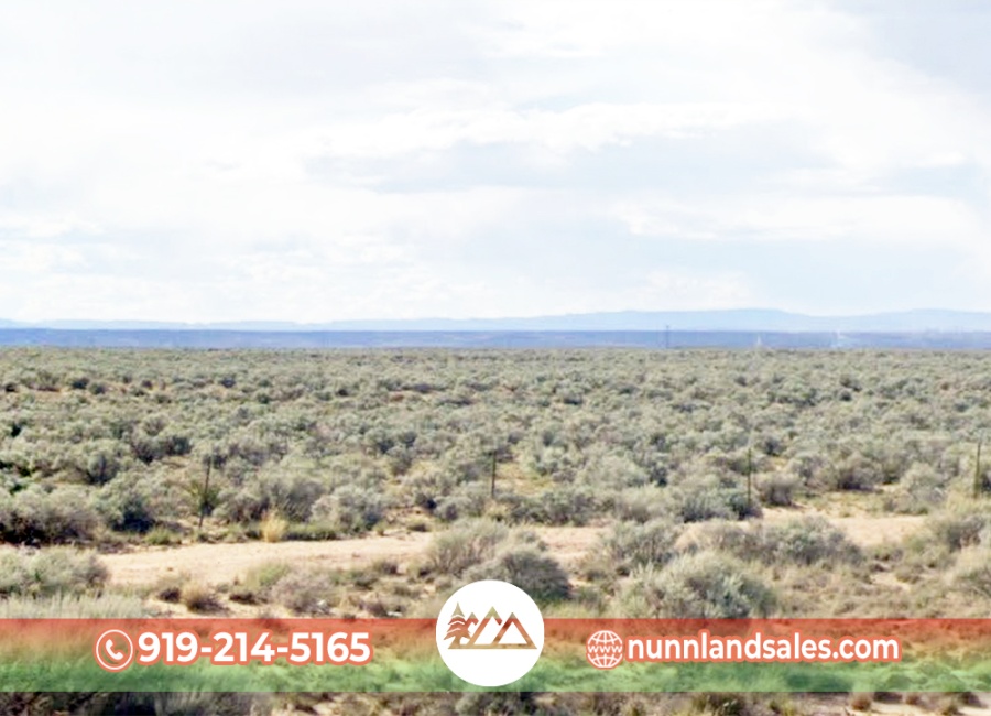 Belen, New Mexico 87002, ,Land,For Sale,2040