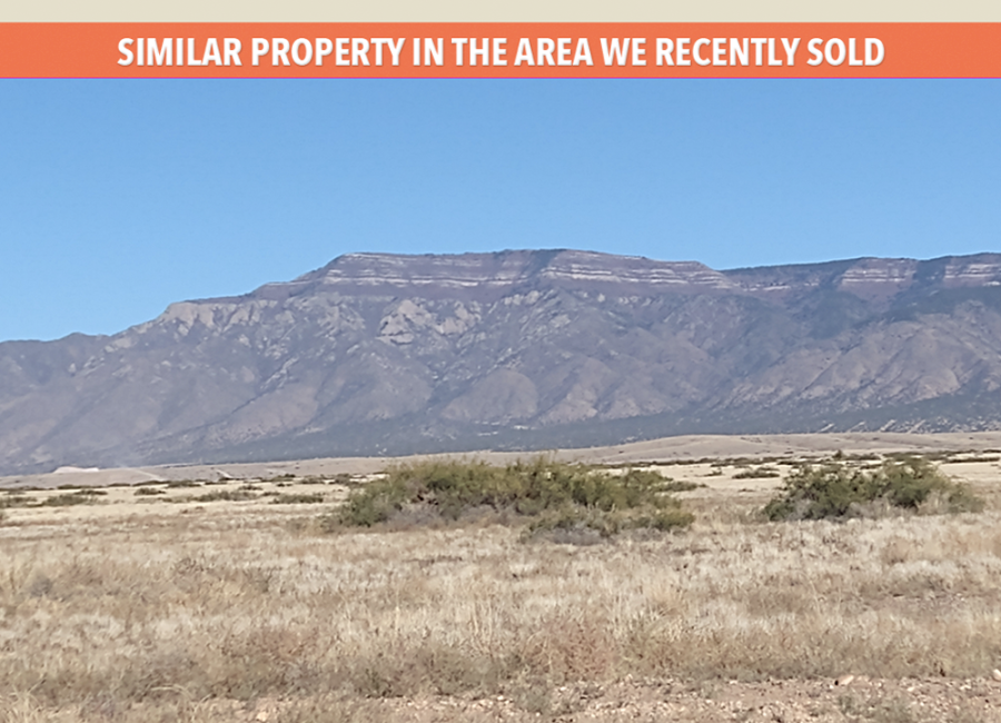 Belen, New Mexico 87002, ,Land,For Sale,2040