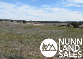 Paulden, Arizona 86334, ,Land,Sold,1099