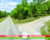 Horseshoe Bend, Arkansas 72512, ,Land,For Sale,2044