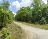 Horseshoe Bend, Arkansas 72512, ,Land,For Sale,2044