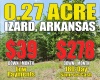 Horseshoe Bend, Arkansas 72512, ,Land,Sold,2045