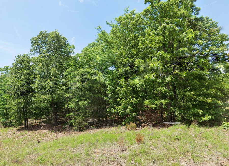 Horseshoe Bend, Arkansas 72512, ,Land,Sold,2045