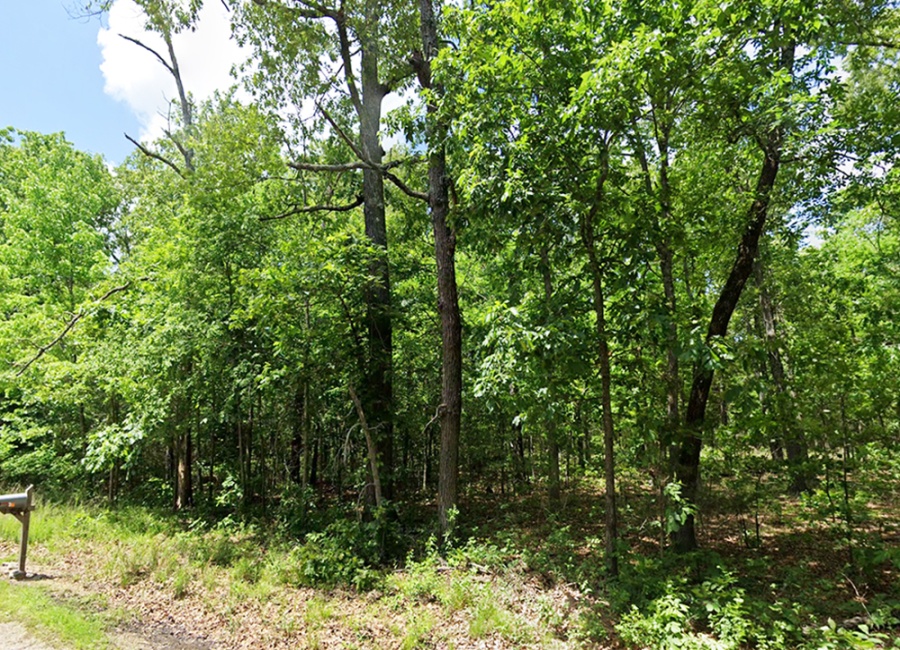 Horseshoe Bend, Arkansas 72512, ,Land,For Sale,2047