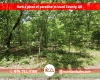 Horseshoe Bend, Arkansas 72512, ,Land,For Sale,2047