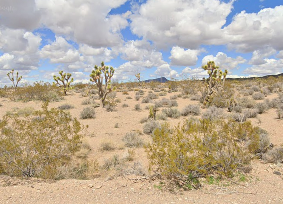 Willow Beach, Arizona 86445, ,Land,For Sale,2050