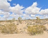 Willow Beach, Arizona 86445, ,Land,For Sale,2050