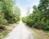 Horseshoe Bend, Arkansas 72512, ,Land,For Sale,2051