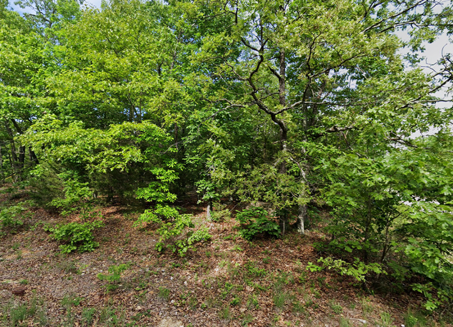 Horseshoe Bend, Arkansas 72512, ,Land,For Sale,2051