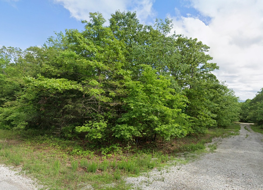 Horseshoe Bend, Arkansas 72512, ,Land,For Sale,2051