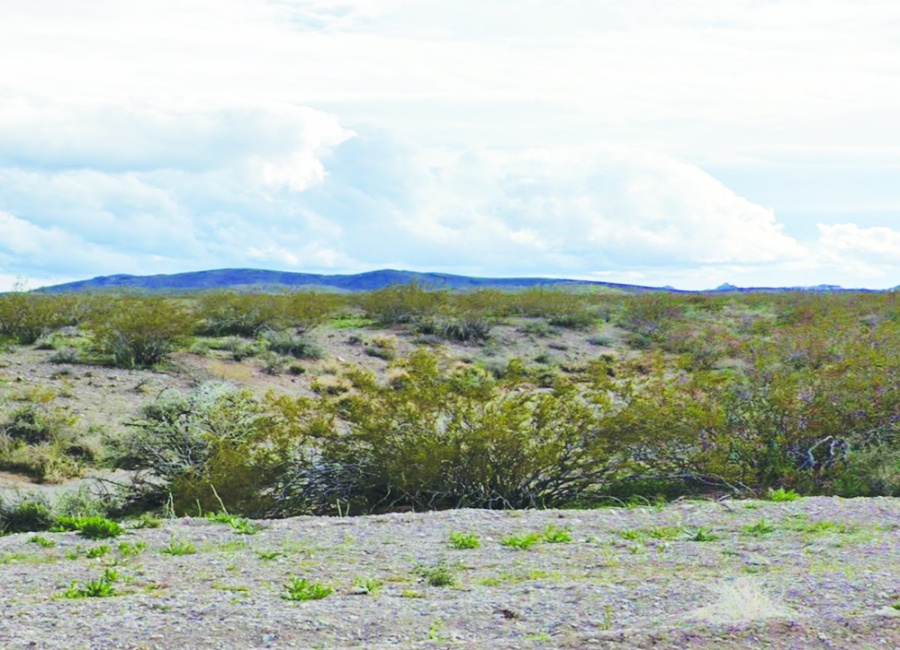 Lake Mohave, Arizona 86445, ,Land,Sold,2054