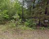 Horseshoe Bend, Arkansas 72512, ,Land,For Sale,2061