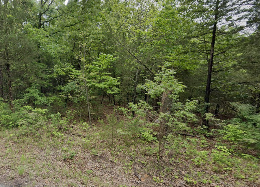 Horseshoe Bend, Arkansas 72512, ,Land,Sold,2061