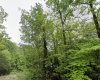 Horseshoe Bend, Arkansas 72512, ,Land,Sold,2061