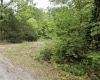 Horseshoe Bend, Arkansas 72512, ,Land,For Sale,2061