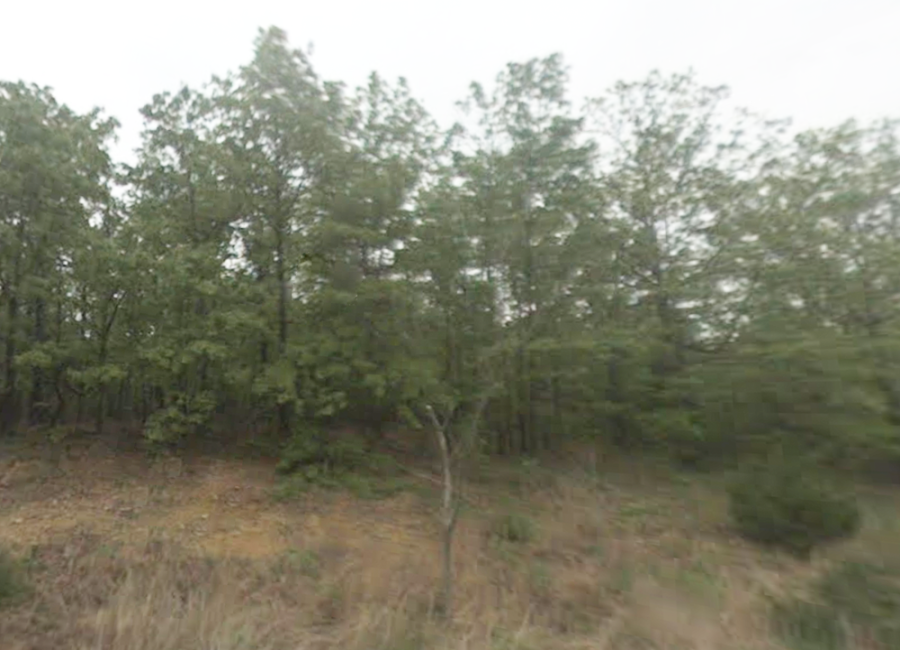 Horseshoe Bend, Arkansas 72512, ,Land,For Sale,2064