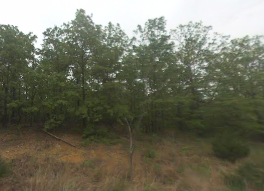 Horseshoe Bend, Arkansas 72512, ,Land,For Sale,2064