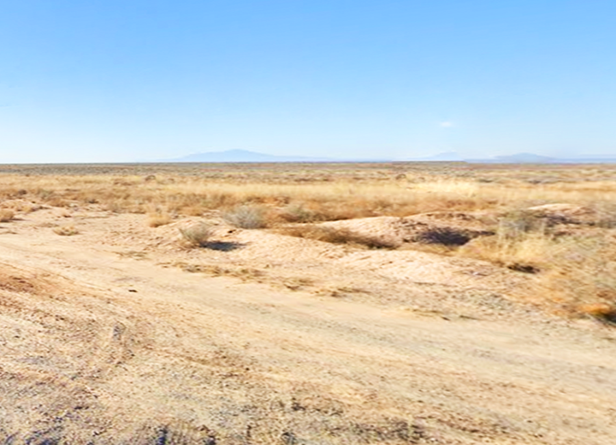 Los Lunas, New Mexico 87031, ,Land,For Sale,2069