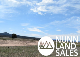 Paulden, Arizona 86334, ,Land,Sold,1102