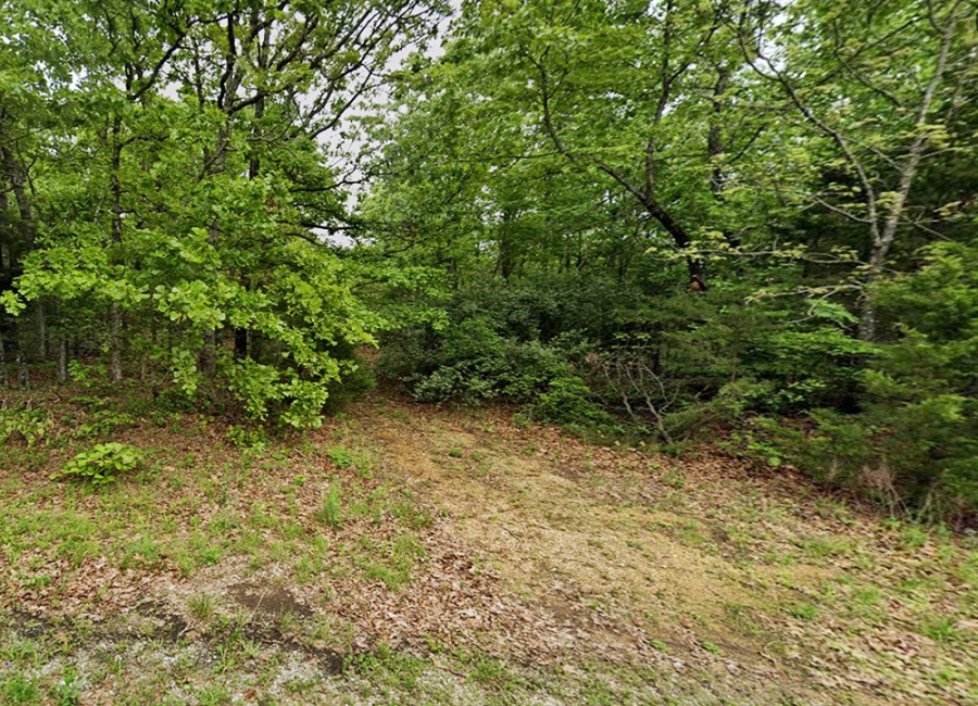 Horseshoe Bend, Arkansas 72512, ,Land,For Sale,2075