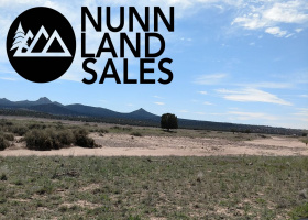 Paulden, Arizona 86334, ,Land,Sold,1103