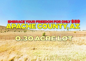 Concho, Arizona 85924, ,Land,For Sale,2093