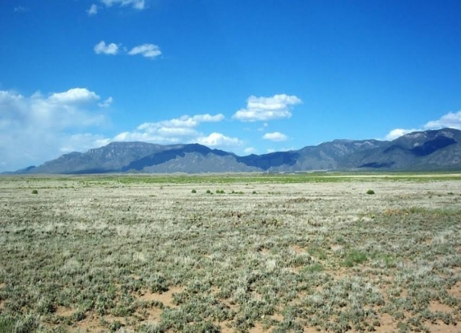 Socorro, New Mexico 87801, ,Land,Sold,1011