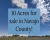 10 acres for sale Navajo County