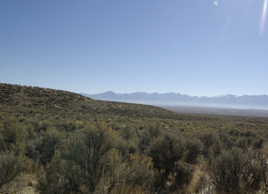 Spring Creek, Nevada 89801, ,Land,Sold,1017